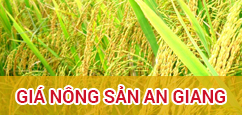 Giá nông sản